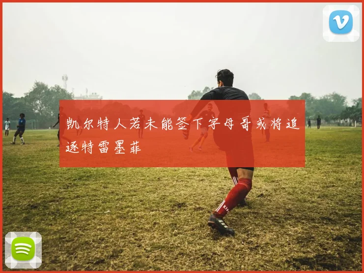凯尔特人若未能签下字母哥或将追逐特雷墨菲