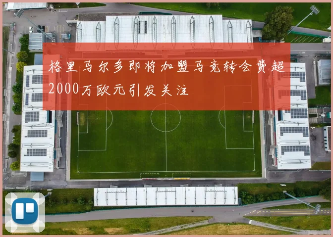 格里马尔多即将加盟马竞转会费超2000万欧元引发关注